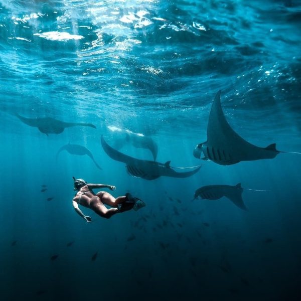 nusa penida snorkeling
