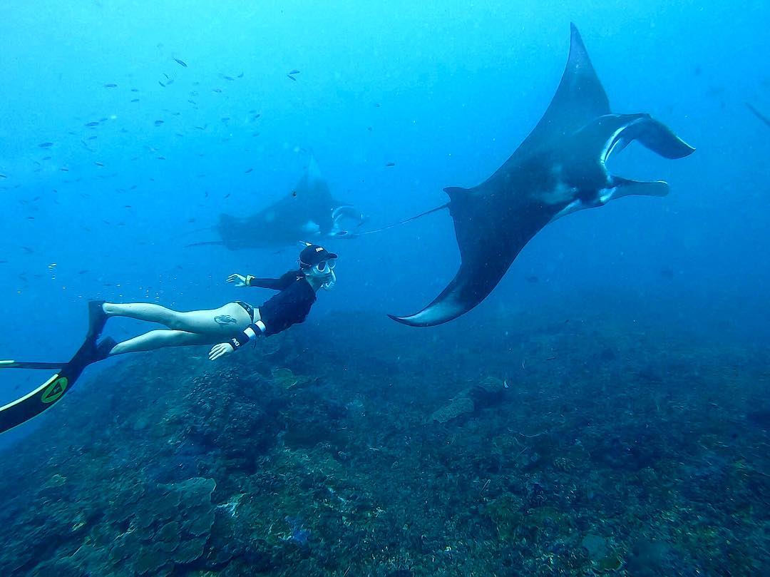 manta bay nusa penida