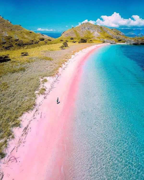 pink beach labuan bajo