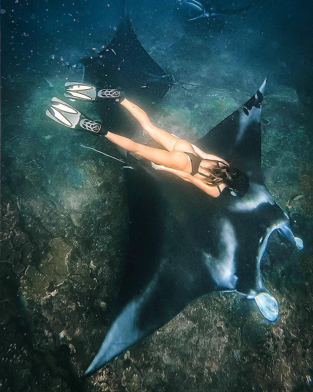 snorkeling with manta