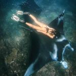 snorkeling with manta