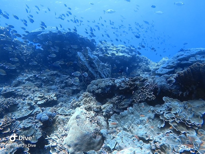 Diving at nusa lembongan