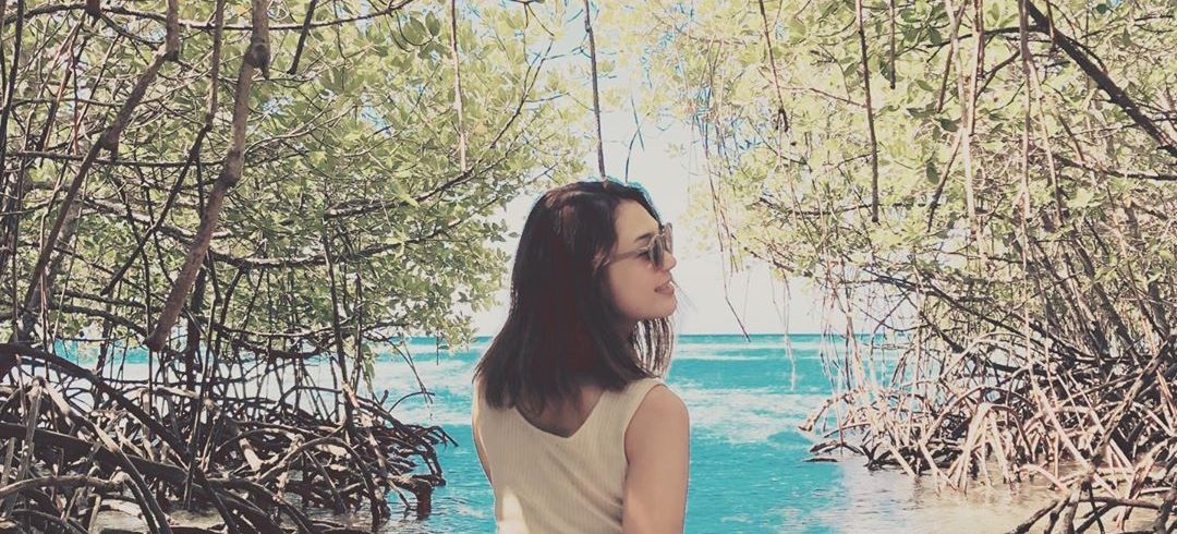 mangrove forest at nusa lembongan