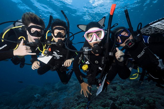 scuba diving day trip to nusa lembongan