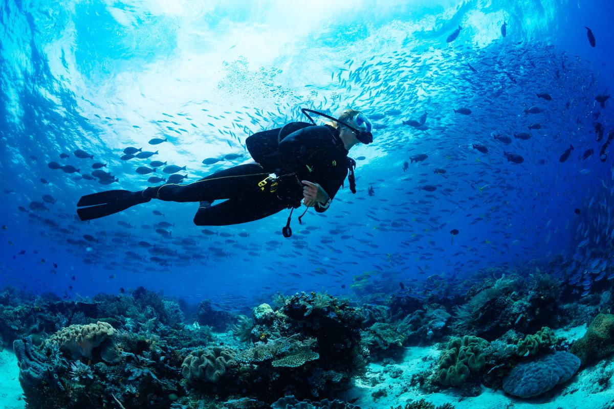 scuba diving nusa lembongan