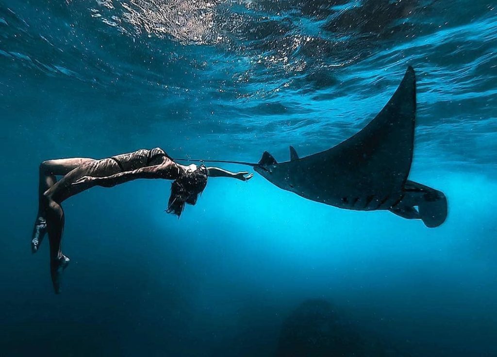 snorkeling at manta point nusa penida
