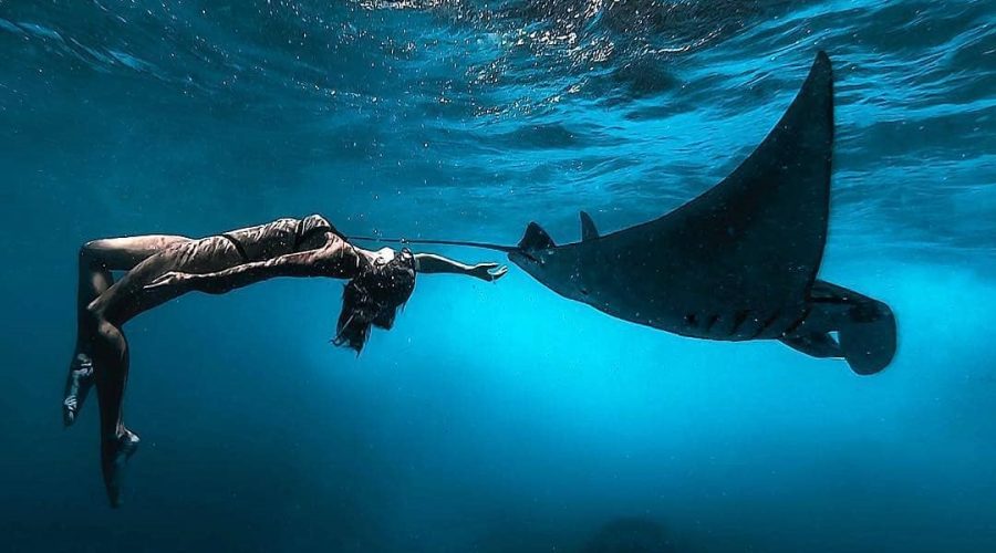 snorkeling at manta point nusa penida