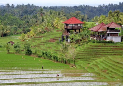 What to Consider in Finding 6 Bedroom Villas in Ubud?