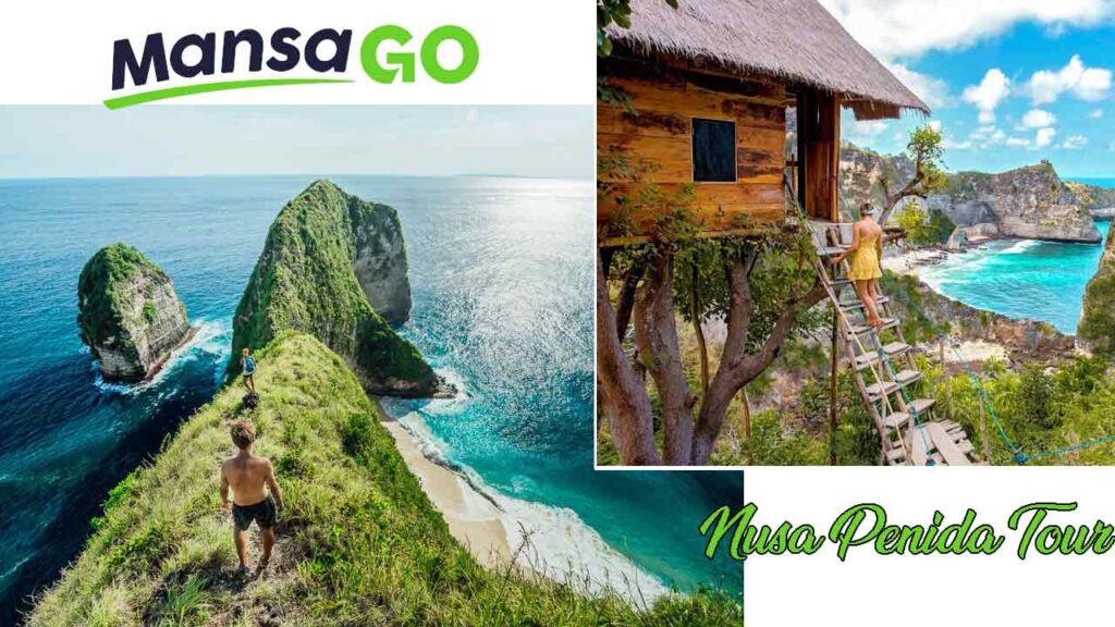 nusa penida tour 2020