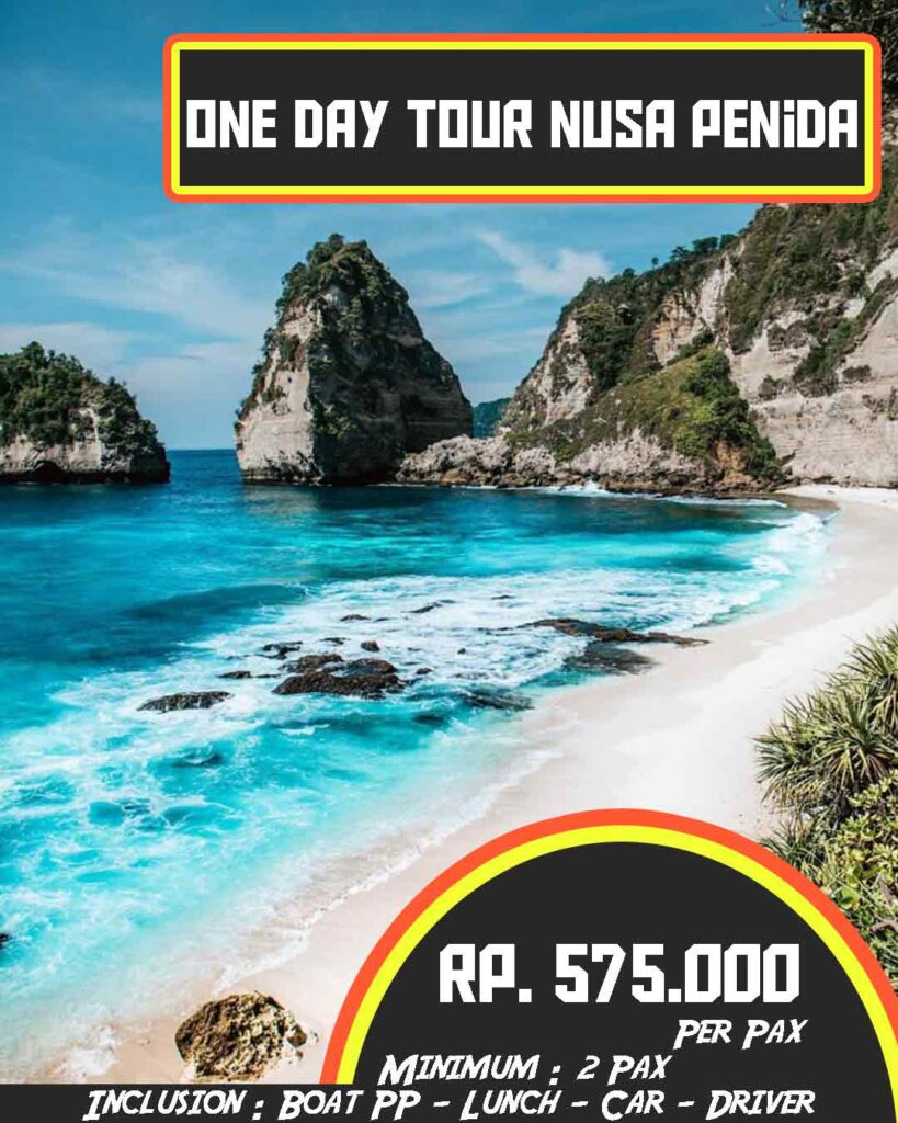 package one day tour nusa penida