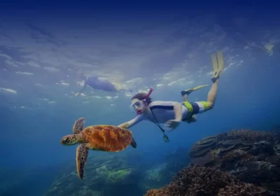 Dive into Penida: Snorkeling at 3 Spectacular Spots & Island Excursion