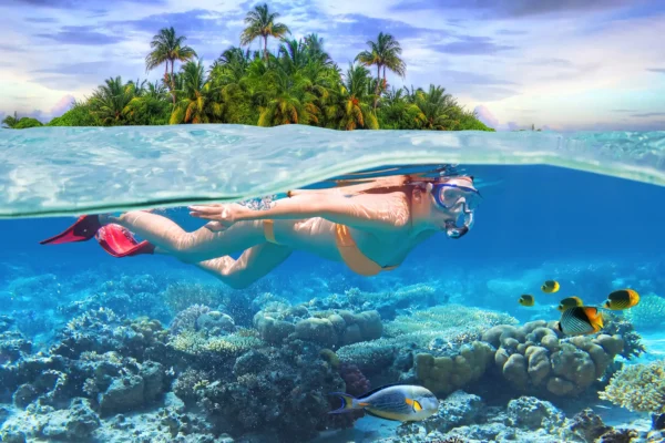 Dive into Penida: Snorkeling at 4 Spectacular Spots & Island Excursion
