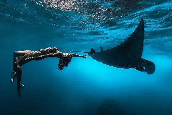 Dive into Penida: Snorkeling at 4 Spectacular Spots & Island Excursion