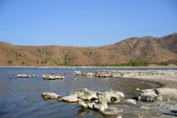 3in1 Timor Leste Discovery: A Full-Day Cultural & Coastal Adventure