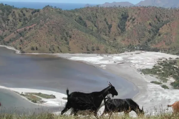 3in1 Timor Leste Discovery: A Full-Day Cultural & Coastal Adventure