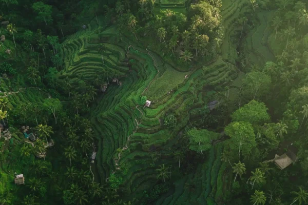 Beyond the Beach: A Bali Voyage of Spirit & Splendor